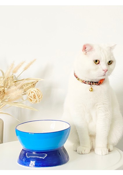 Seramik Kedi ve Köpek Mama Su Kabı Luna Model(Lacivert) fiyatları