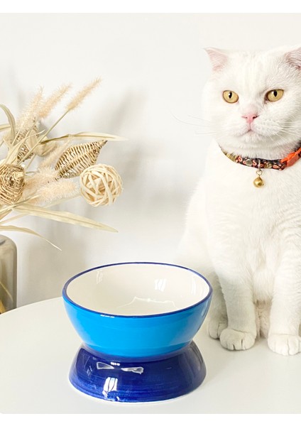 Seramik Kedi ve Köpek Mama Su Kabı Luna Model(Lacivert) fırsatları