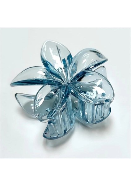 Lotus Toka 6 cm fiyatları