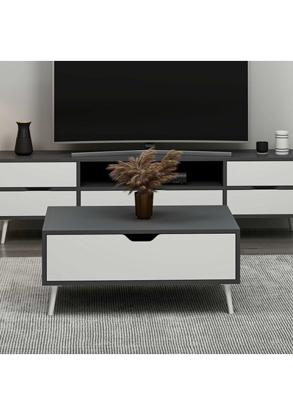 Elina Ayaklı Orta Sehpa - Antrasit/beyaz modelleri