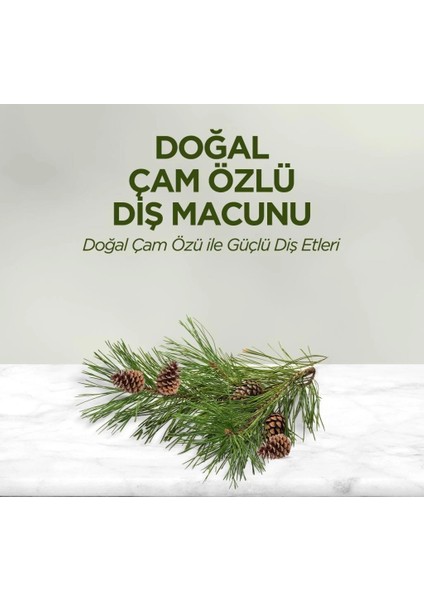 Bfs Eyüp Sabri Tuncer Doğal Diş Macunu 90 gr Çam Özlü fiyatları