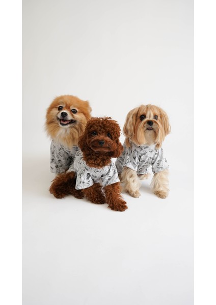 Köpek Kedi Pijama Tatlı Rüya