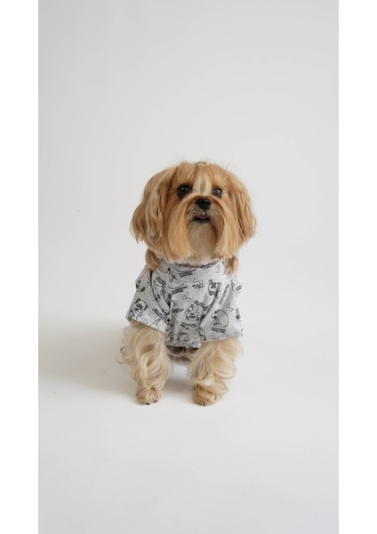 Köpek Kedi Pijama Tatlı Rüya fiyatları