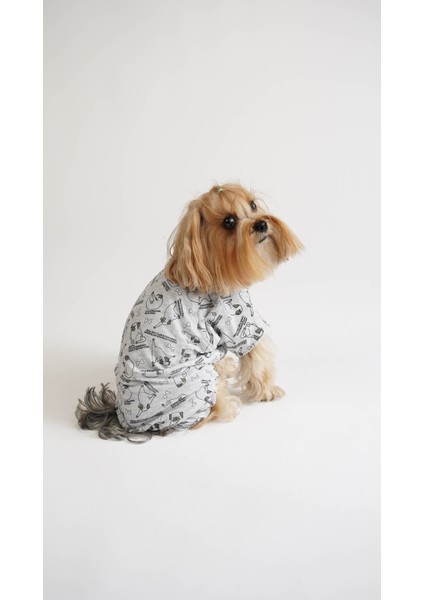 Köpek Kedi Pijama Tatlı Rüya fırsatları