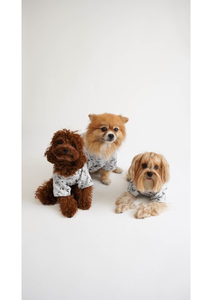 Köpek Kedi Pijama Tatlı Rüya indirimleri