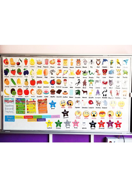 Ingilizce Manyeyik Kelime Kart Seti