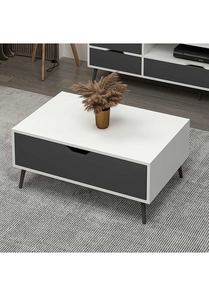 Elina Ayaklı Orta Sehpa - Beyaz/antrasit fiyatları