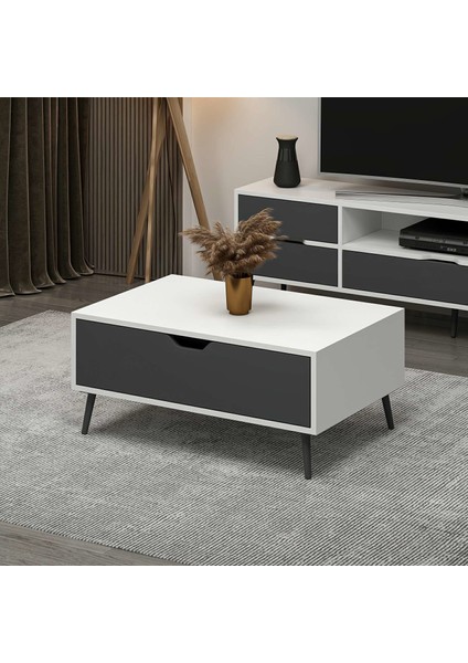 Elina Ayaklı Orta Sehpa - Beyaz/antrasit modelleri