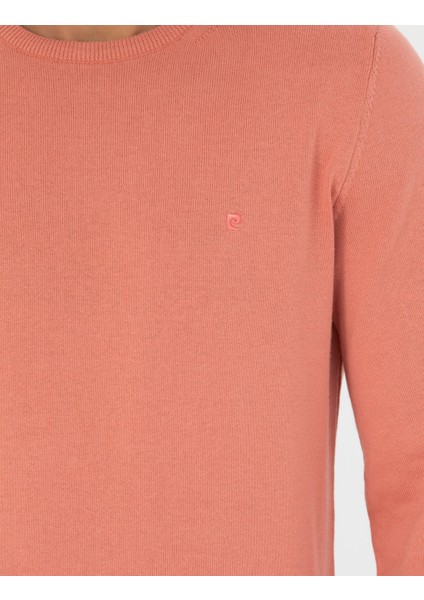 Erkek Somon Slim Fit Bisiklet Yaka Basic Triko Kazak 50270179-VR047