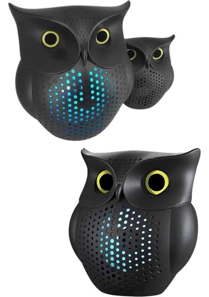 Gromofon Görünümlü Hoparlör modelleri