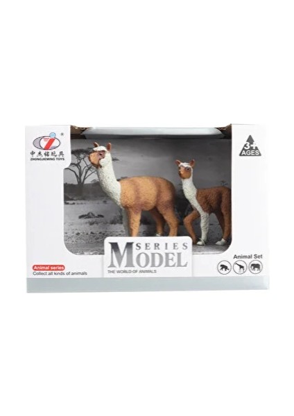 Kutulu Model Lama ve Yavrusu