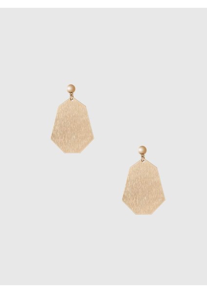 Gold Aksesuarlı Küpe Standart Renk Y1989124_089