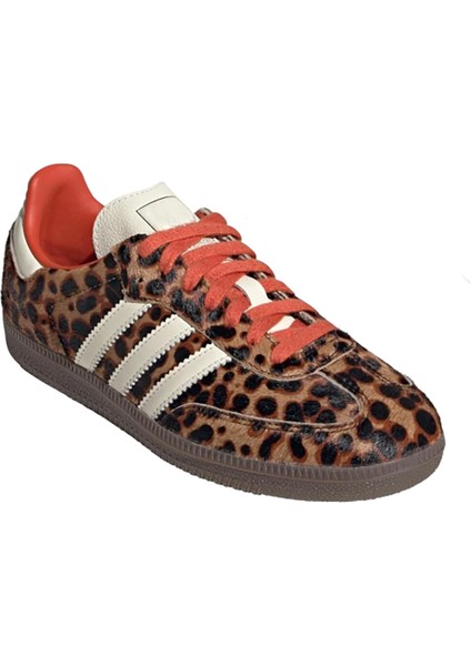 Şeritli Ince Taban Bağcıklı Trend Kadın Spor Ayakkabı modelleri