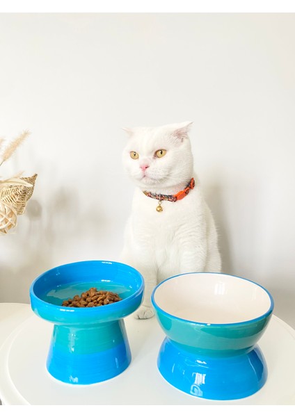Seramik Kedi ve Köpek Mama Su Kabı Luna- Ayaklı Model 2'li(Turkuaz) fırsatları