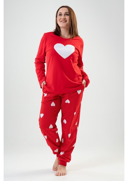 K203024 Vienetta modelleri