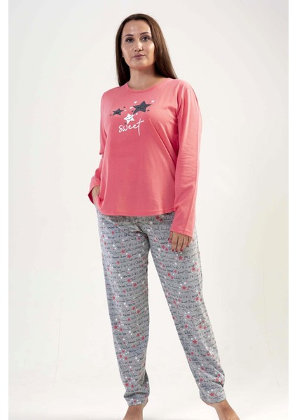 K204179 Vienetta modelleri