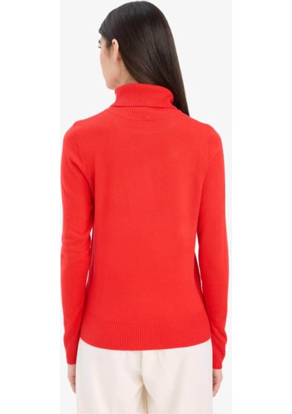 Regular Fit Yumuşak Dokulu Balıkçı Yaka Basic Düz Triko Kazak H1651AZ25WN indirimleri