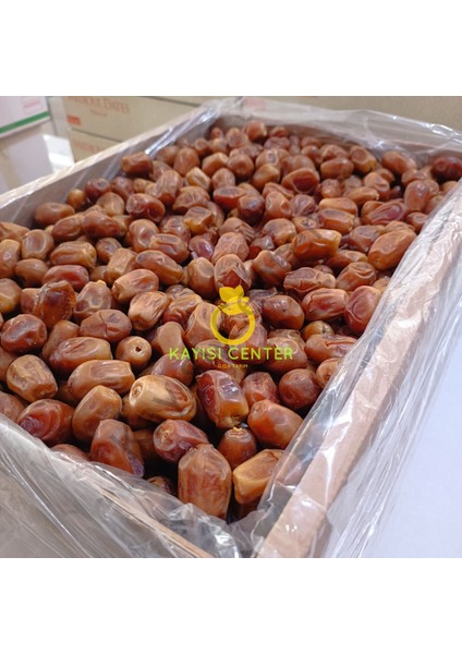bağdat hurma (zahidi) 10 kg fiyatları