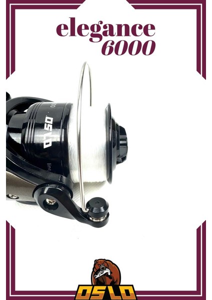 Elegance 6000 300CM 60-120GR Remixon Carbo-X Profesyonel Sazan Kıyı Olta Takımı Seti