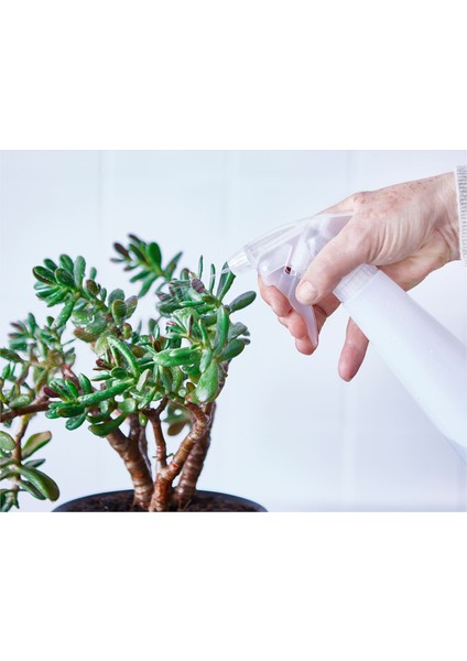 Çok Amaçlı Spreyli Şişe Şeffaf 350 ml modelleri