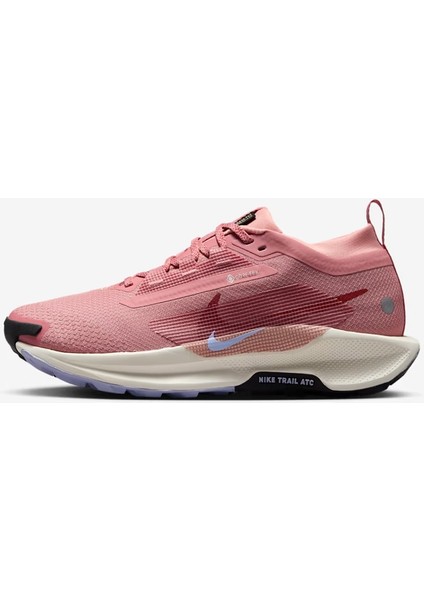 Pegasus Trail 5 Gore-Tex Su Geçirmez Arazi Tipi Koşu Ayakkabısı-Sportxoutlet