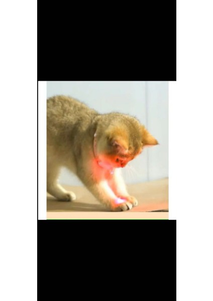 Otomatik Lazer Oyun Tasması fiyatları