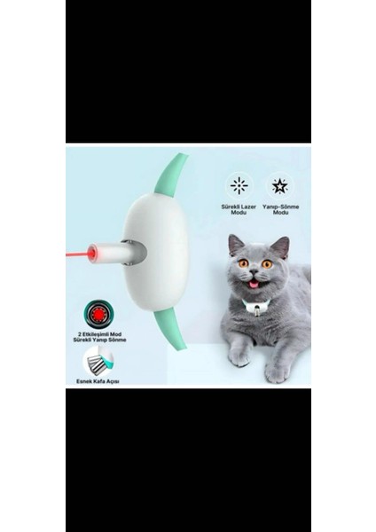 Otomatik Lazer Oyun Tasması modelleri