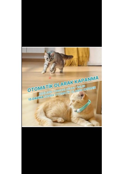 Otomatik Lazer Oyun Tasması fırsatları