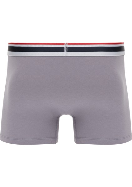 Erkek Gri Melanj Iç Giyim Alt 50318651-VR086 fırsatları