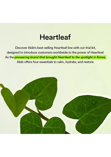 Heartleaf Calming Trial Kit – 4’lü Mini Set (Foam + Toner + Serum + Cream)