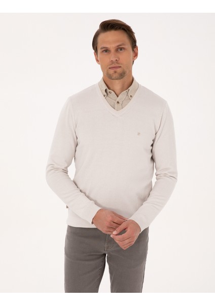 Erkek Taş Slim Fit V Yaka Basic Triko Kazak 50314190-VR049 modelleri