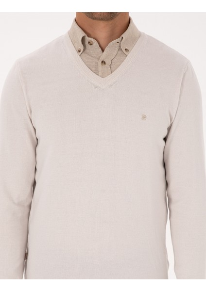 Erkek Taş Slim Fit V Yaka Basic Triko Kazak 50314190-VR049