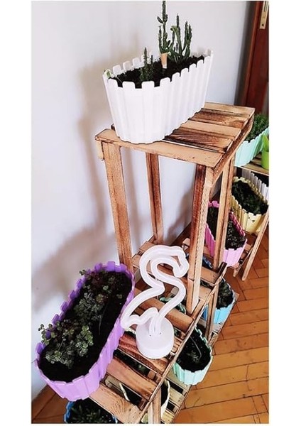 Adet Akasya Saksı, Bahçe Balkon Saksı, Çit Saksı 30 cm (Beyaz) indirimleri