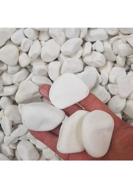 Beyaz Dolomit Taş 5 kg 2-4 cm Dere Çakıl Taşı Bahçe Süs Taşı Saksı Teraryum Taşı Akvaryum Taşı