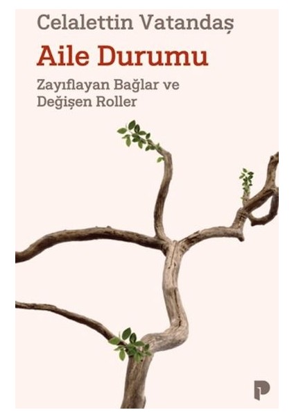 Aile Durumu