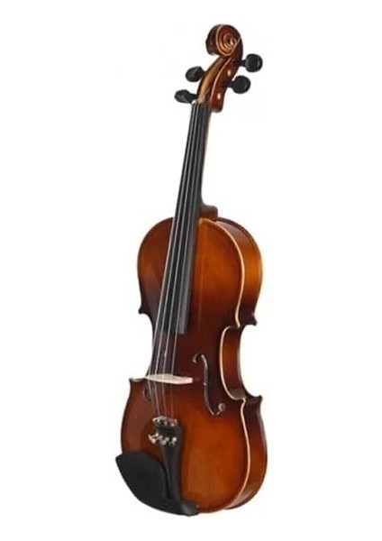 Tam Boy Keman + Yay fiyatları