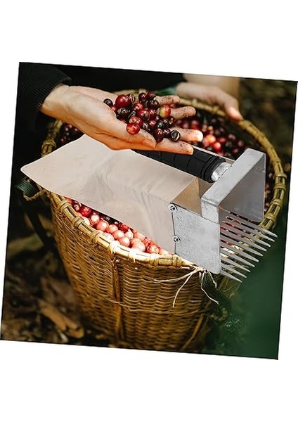 Toplama Aracı ile Işlerinizi Kolaylaştırın Hafif Tırmık Tasarımı Yavaşça Toplayın Evde ve Bahçede Kullanım fırsatları