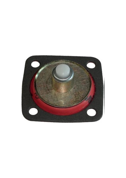 BASMALI DİYAFRAM R9 (10 ADET)