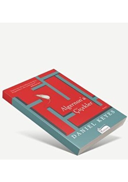 Algernon'a Çiçekler ve Sol Ayağım İki Kitap Seti Daniel Keyes Christy Brown Ciltsiz fiyatları