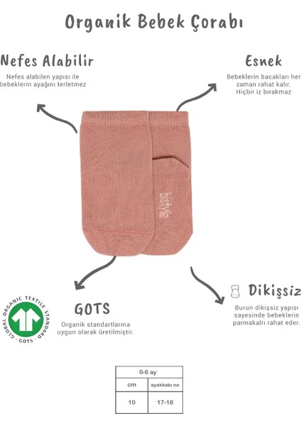 5'li Penye Soket Kutulu Basic Çorap 10131 Pudra fiyatları