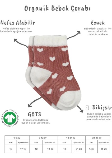 3'lü Penye Cute Stars Soket Çorap BS10115 Pudra fiyatları