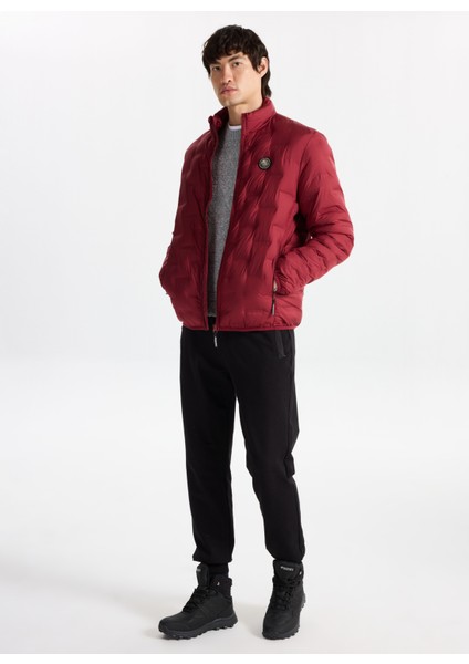 D5WM-MNT3306 Mürdüm Kapitone Erkek Mont fiyatları