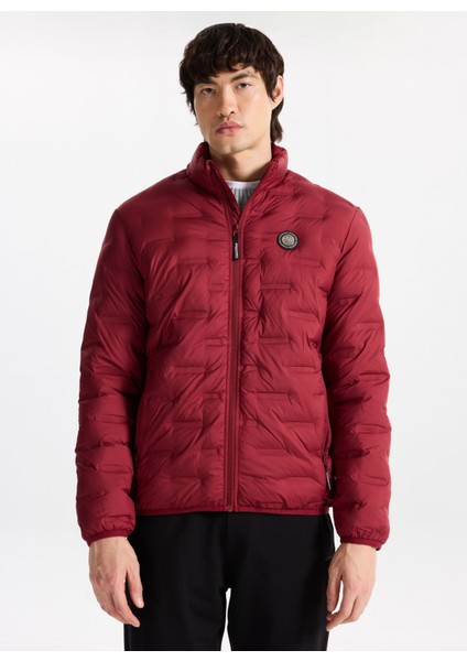 D5WM-MNT3306 Mürdüm Kapitone Erkek Mont modelleri