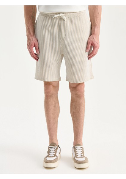 Yeni Sezon Standart Kalıp Çizgili Erkek Şort fiyatları