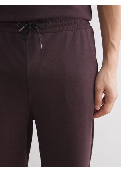 Yeni Sezon Standart Kalıp Erkek Şort indirimleri