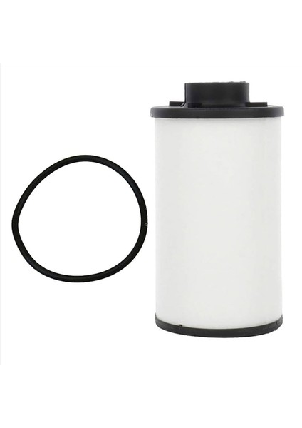 2x Otomatik Trans Dsg Şanzıman Filtresi 02E305051C Beetle Passat Eos For-Audi A3 DQ250 02E398051 02E-305-051-C (Yurt Dışından) modelleri