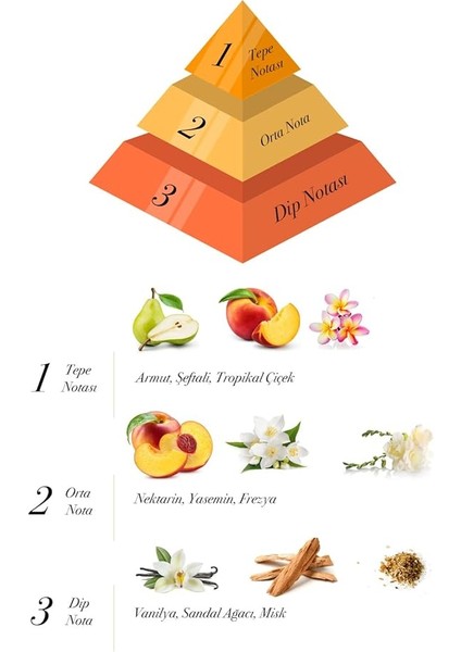 Tropic Breeze Bambu Çubuklu Oda Kokusu 100 ml fiyatları