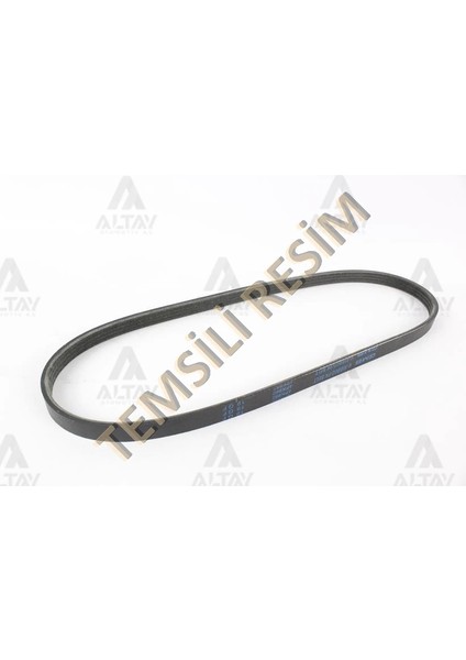 KANALLI KAYIŞ NISSAN / QASHQAI 2.0 2007 / XTRAIL 2.0 2007 6PK1209