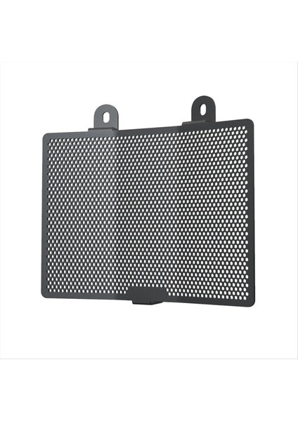Motosiklet Aksesuarları Radyatör Koruma Koruyucu Nightster Için Grille Izgara Kapağı 975 2022-2024 NIGHTSTER975 RH975 (Yurt Dışından) modelleri