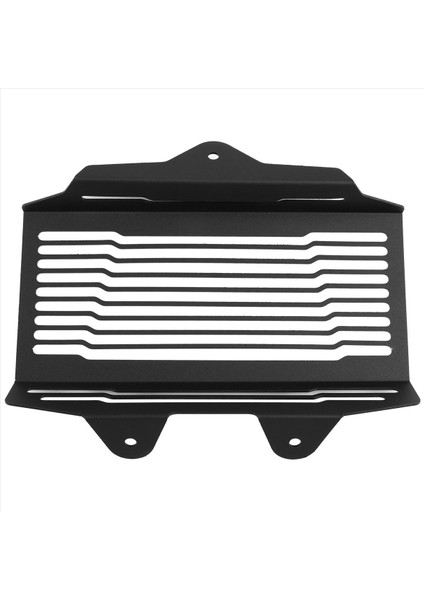 Bmw R12 R12 R 12 Ninet 2024 2025 Isı Lavabo Koruyucusu Için Motosiklet Radyatör Muhafız (Yurt Dışından)